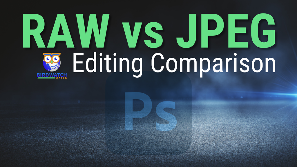 'Video thumbnail for Editing RAW Files Vs JPEG Files'