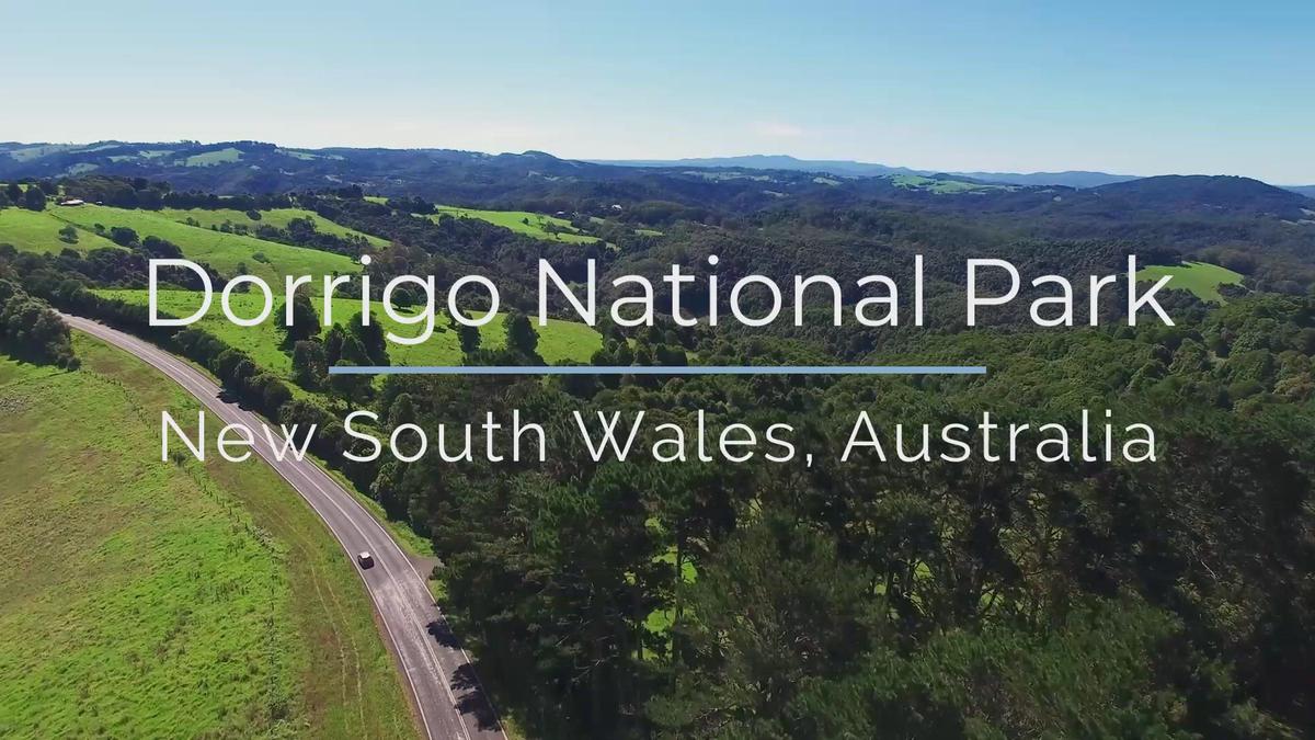 'Video thumbnail for Dorrigo National Park And Crystal Shower Falls In New South Wales Australia'