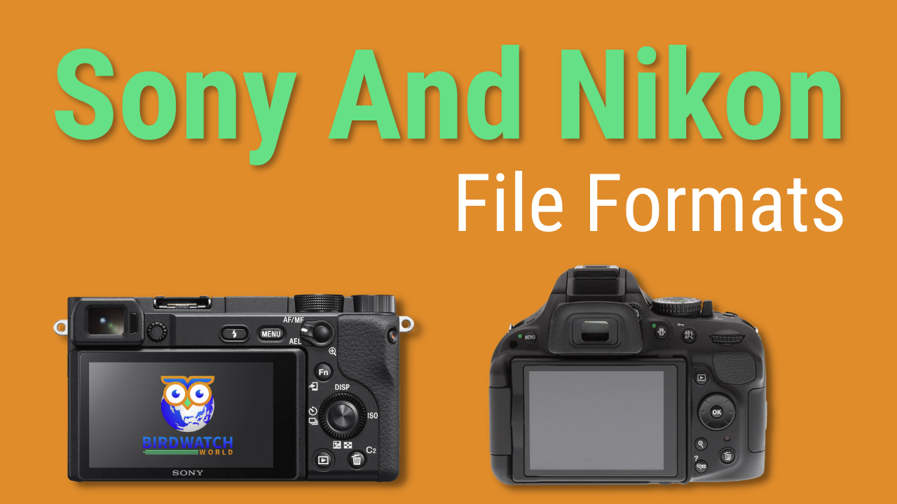 'Video thumbnail for Sony And Nikon Camera File Formats'