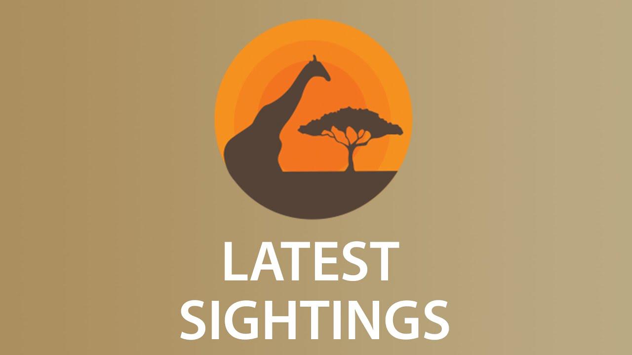 'Video thumbnail for Latest Sightings - Watch the Latest, Exclusive and Most Incredible Wildlife Footage'