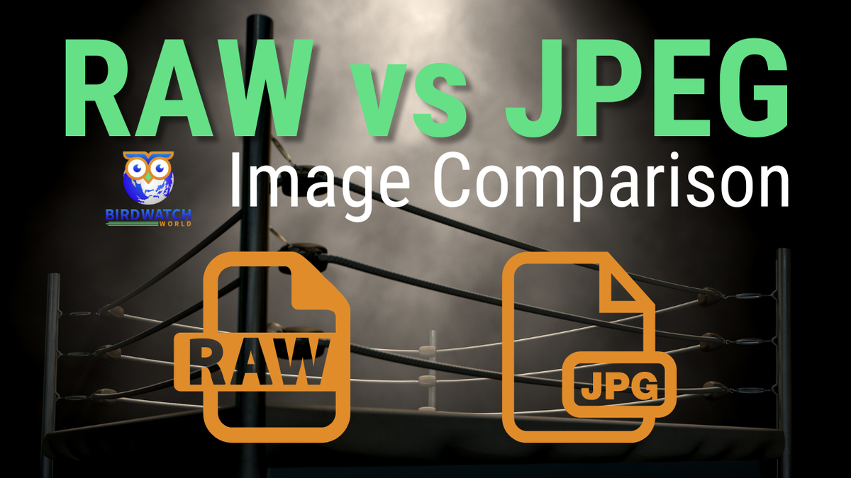 'Video thumbnail for RAW vs JPEG Image Comparison'
