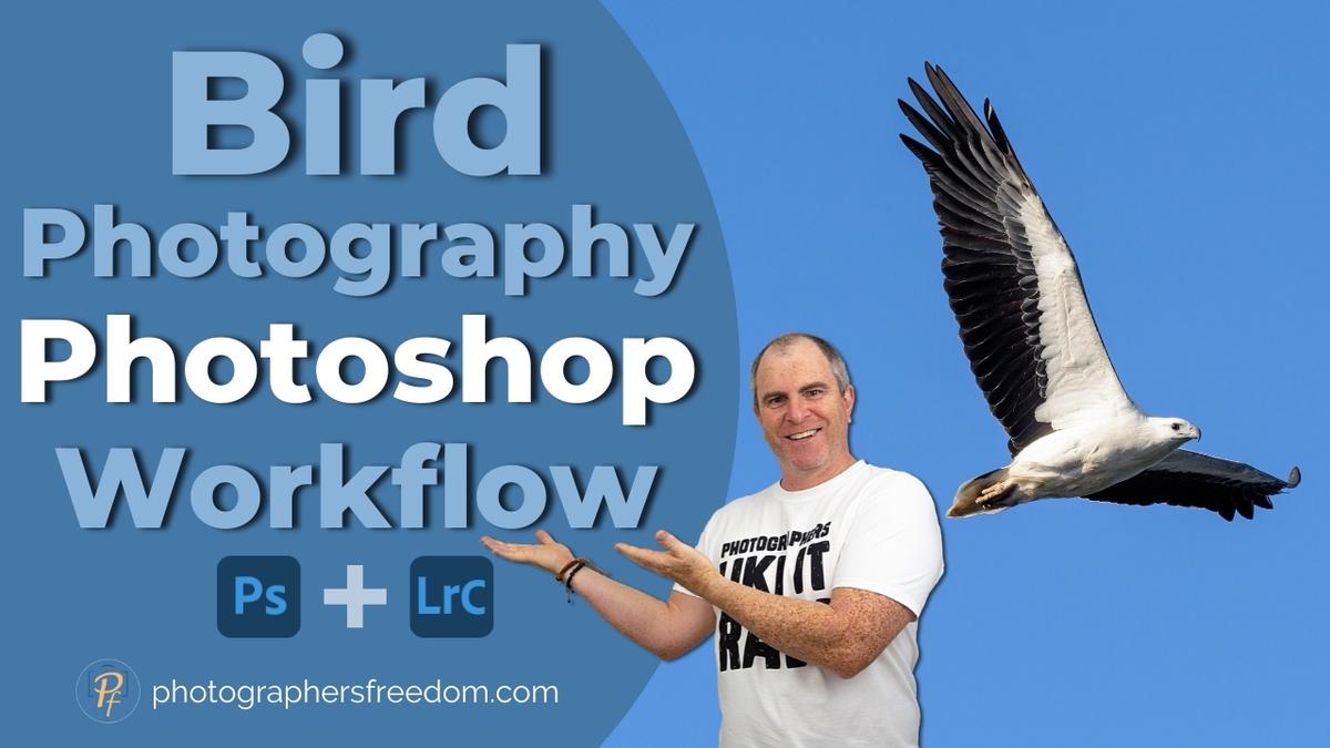 Bird Photography Photoshop Workflow - My Secrets Revealed?!