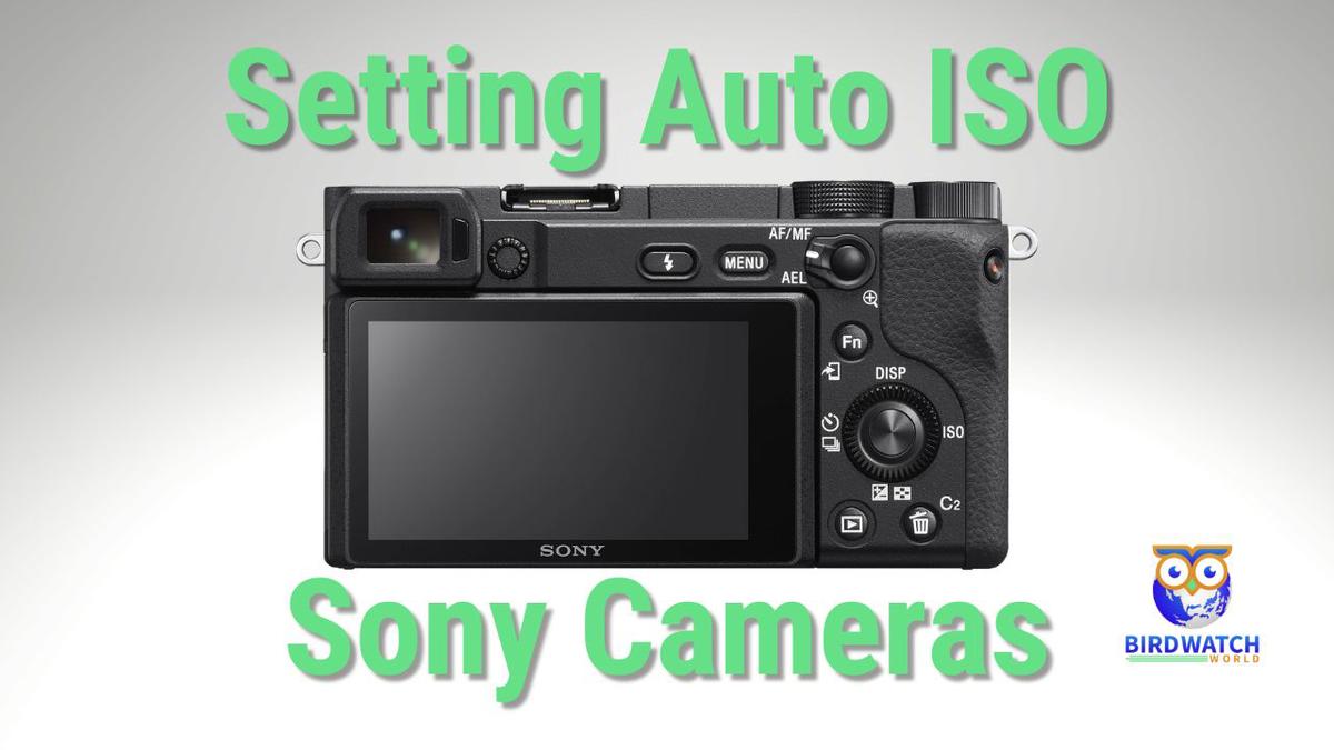 'Video thumbnail for How To Set Auto ISO In Manual Mode On A Sony Camera - Sony a6400'