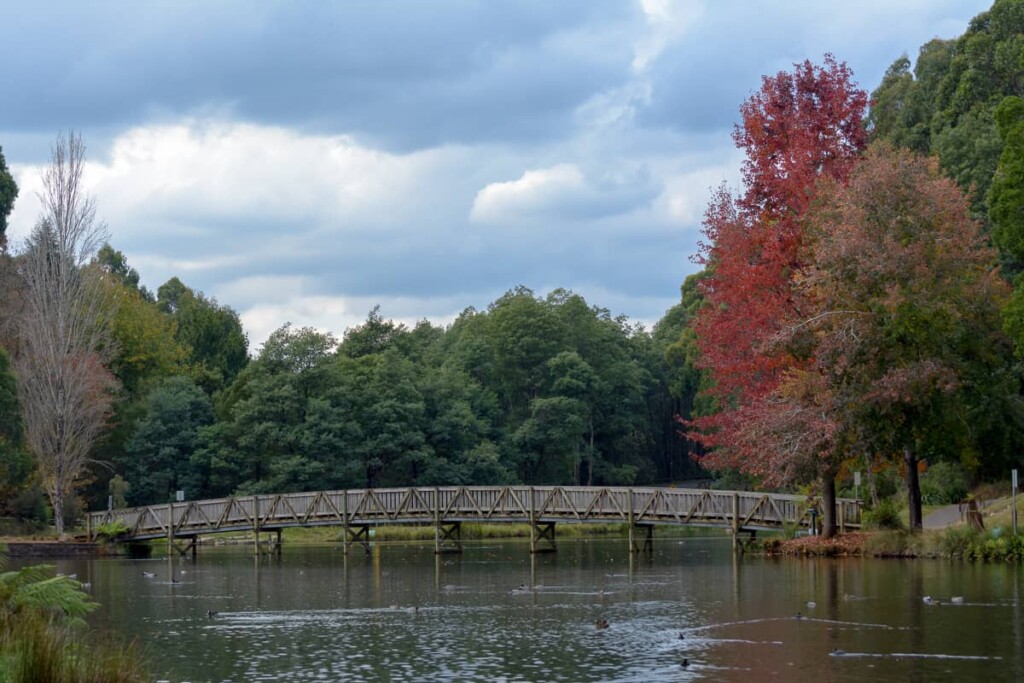 a view of a wooden bridge over a lake during Autumn
