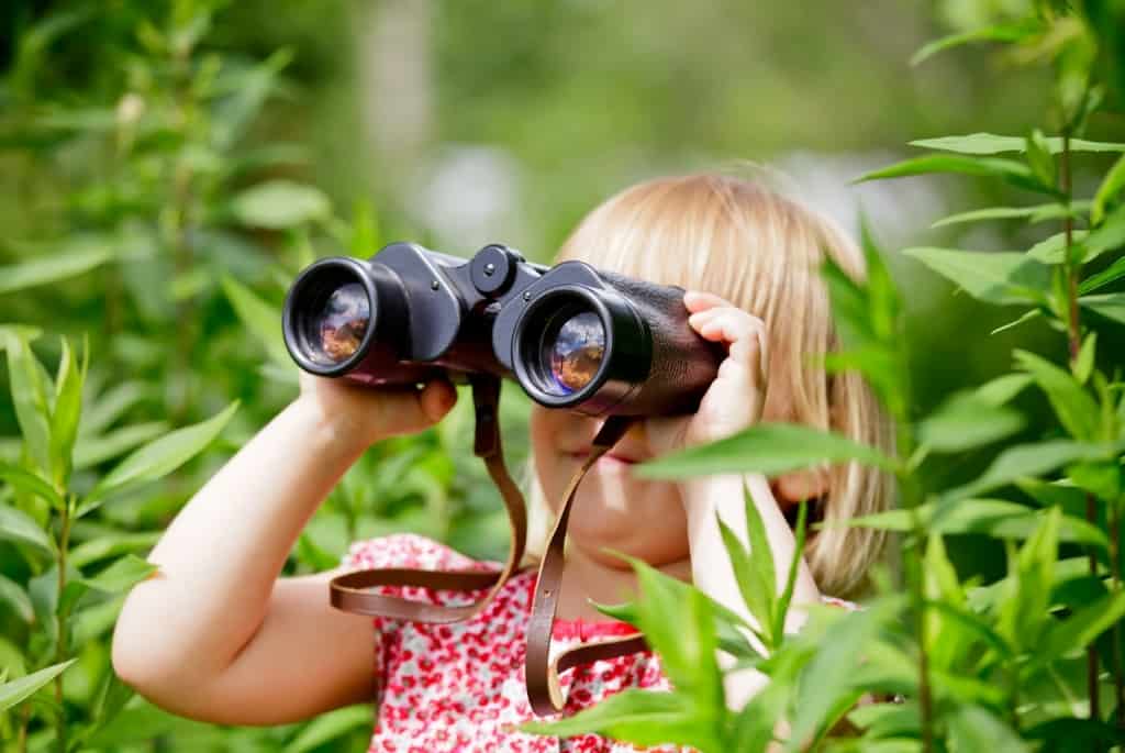 a little girl using binoculars to bird watch