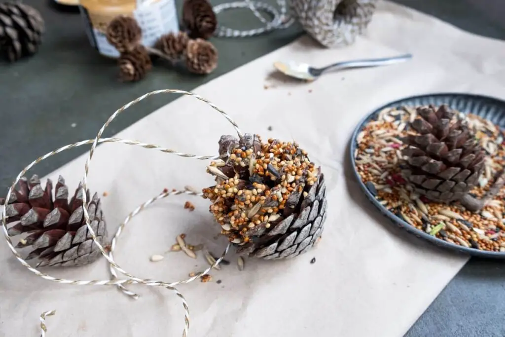 making pine cone bird feeders