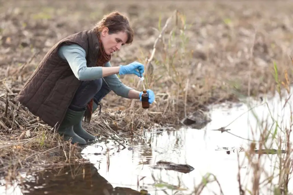 woman taking a water sample from a pond