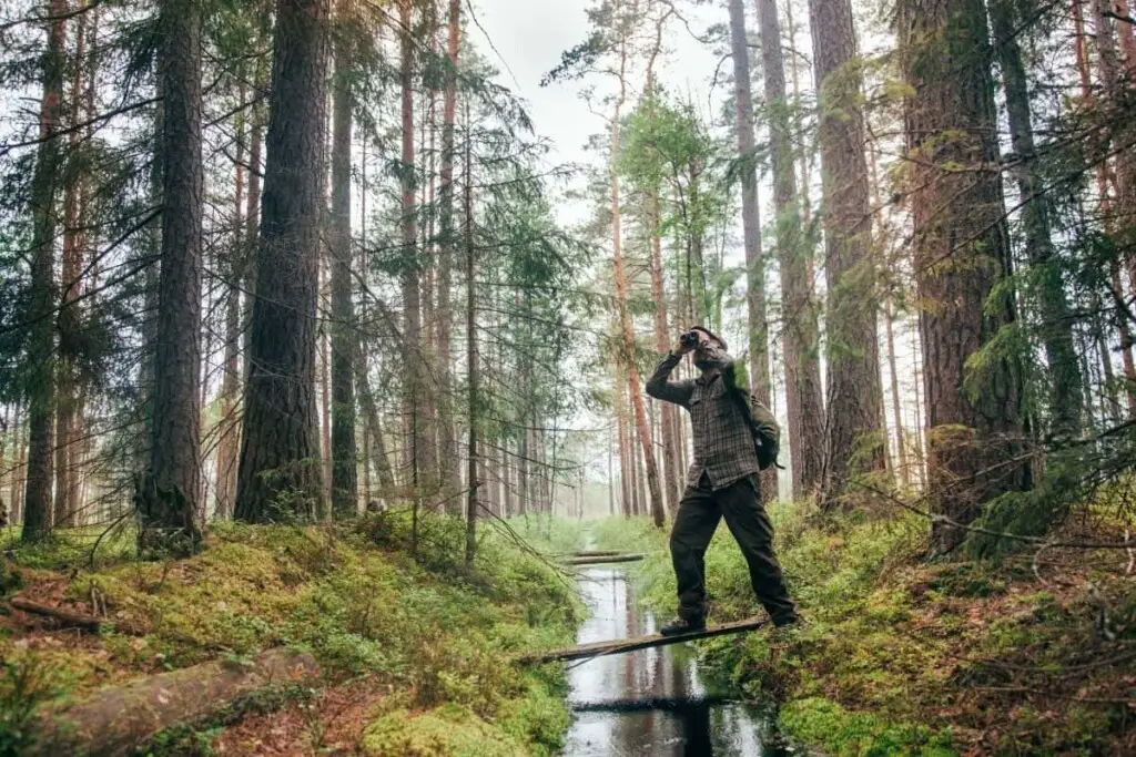 a man using binoculars in a forest