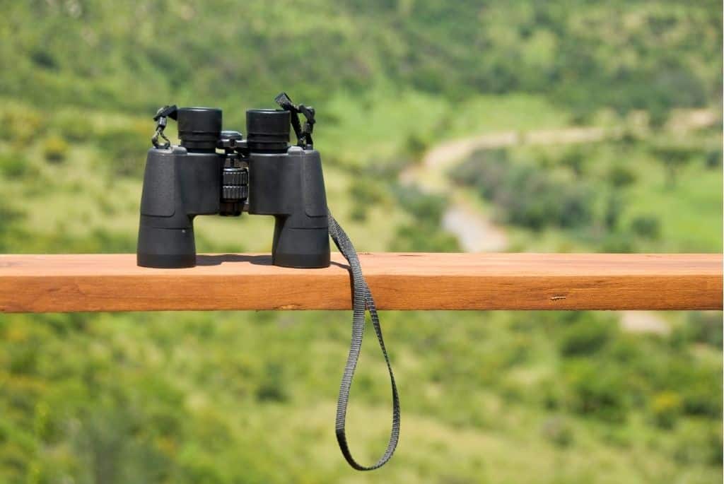 a pair of binoculars resting on a wooden plank