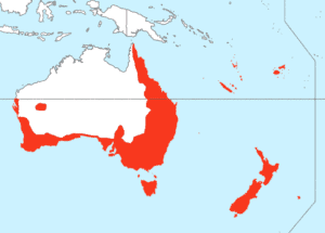 a map of Australia, New Zealand, and the Pacific Islands