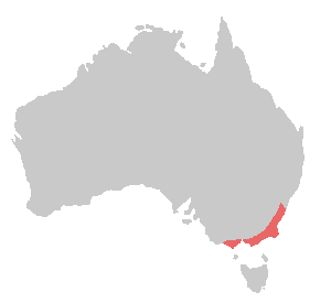 a map of Australia with the extreme southeast shaded in red