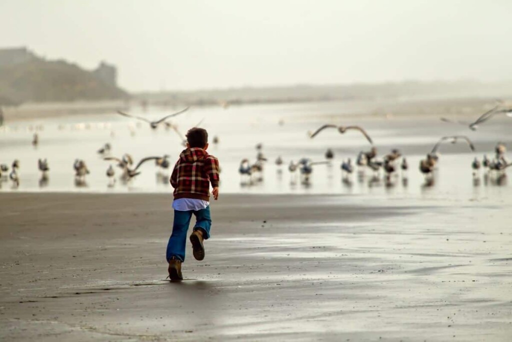 a boy chasing birds to scare them on a beach on a gloomy day