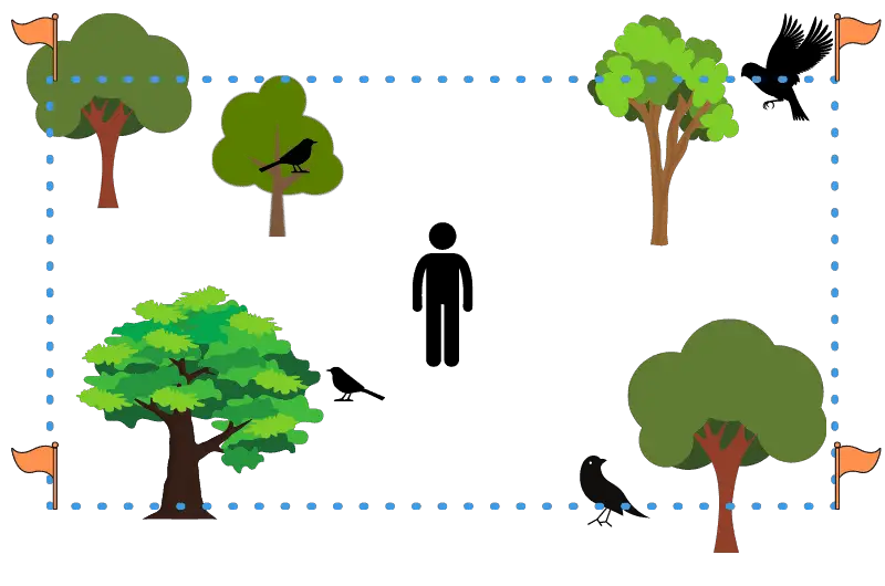 how bird watchers count birds using an area search - a diagram of a person standing in a forest with birds, flags, and a dotted rectangle outlining the forest