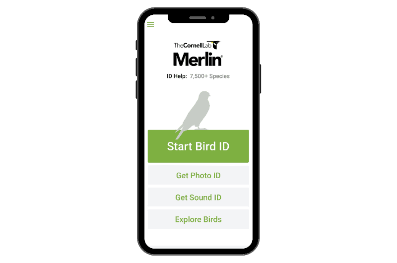 a smartphone with the Merlin Bird ID app home screen showing