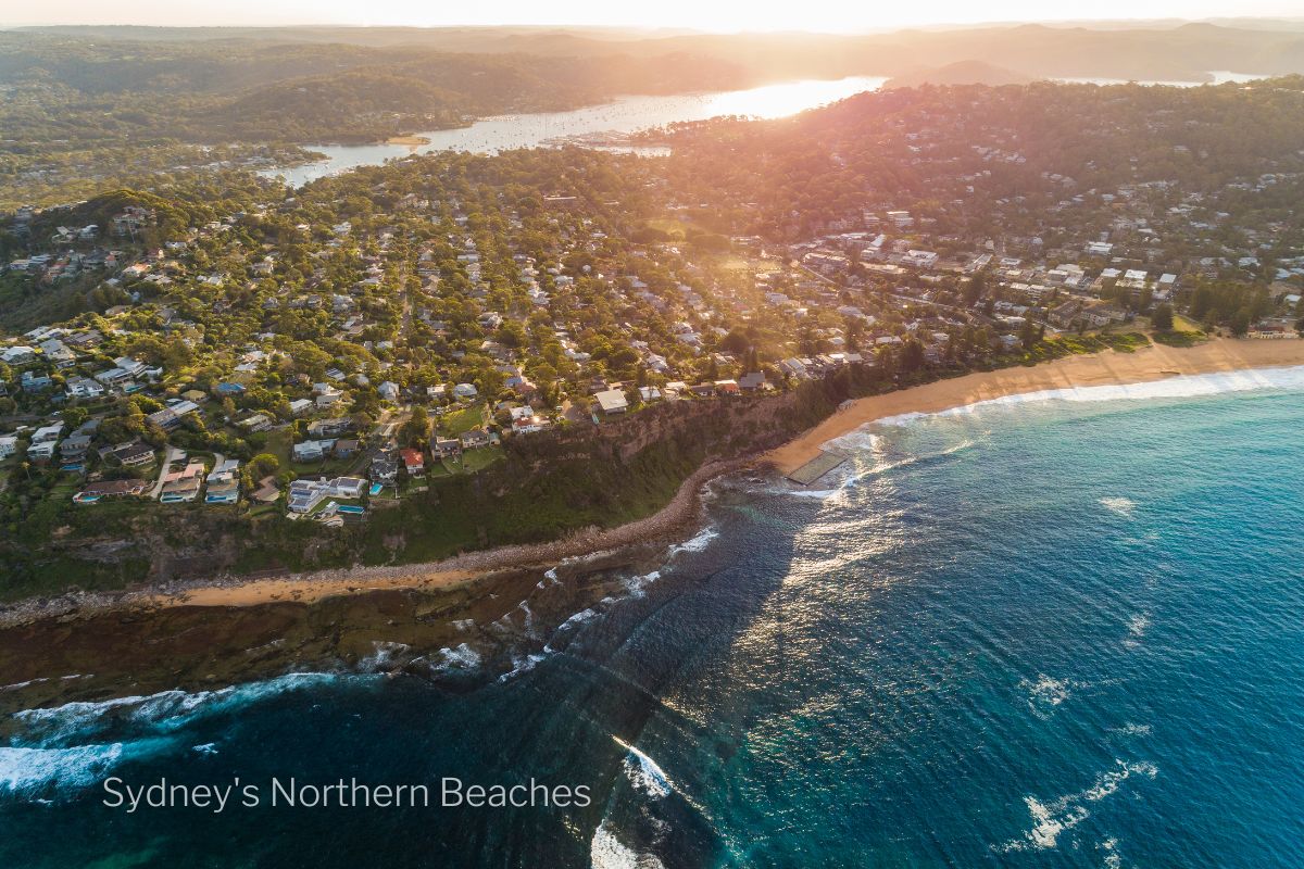 an aerial view of Sydney's Northern Beaches where you can have a bird watching experience