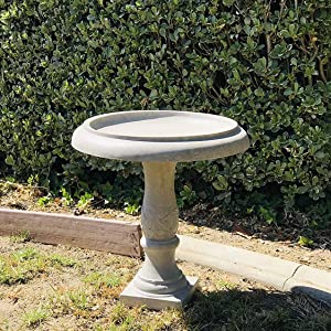 a Kante Weathered Concrete Lightweight Traditional Birdbath