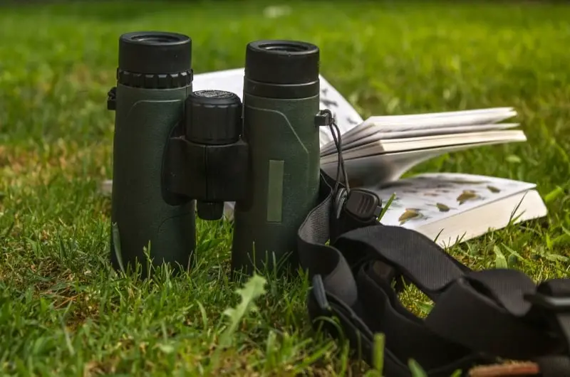 binoculars and a bird guide book sitting in the grass