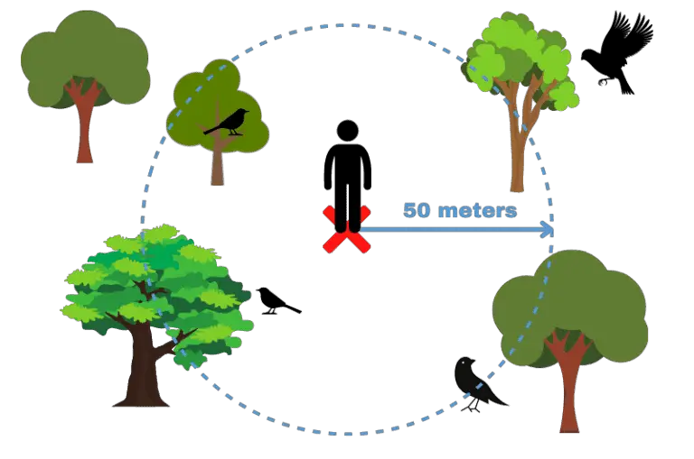 How Do Bird Watchers Count Birds? 1, 2, 3, 4...