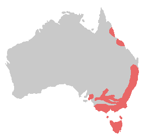 a map of Australia showing the distribution of the crimson rosella
