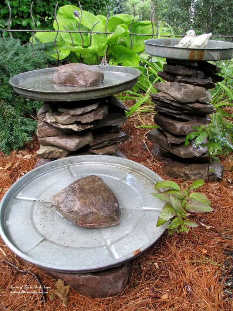 three birdbaths made from rubbish bin lids and rocks