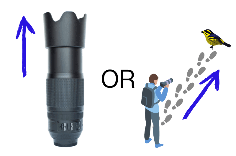 a graphic showing a camera lens on the left and a person taking a photo of a bird on the right