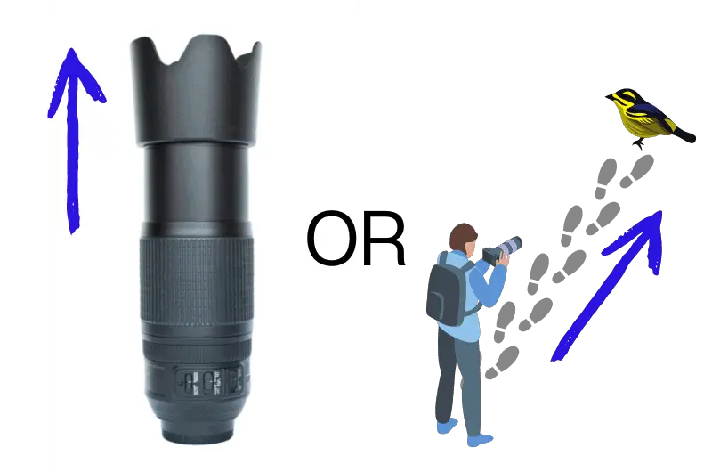 a graphic showing a camera lens on the left and a person taking a photo of a bird on the right