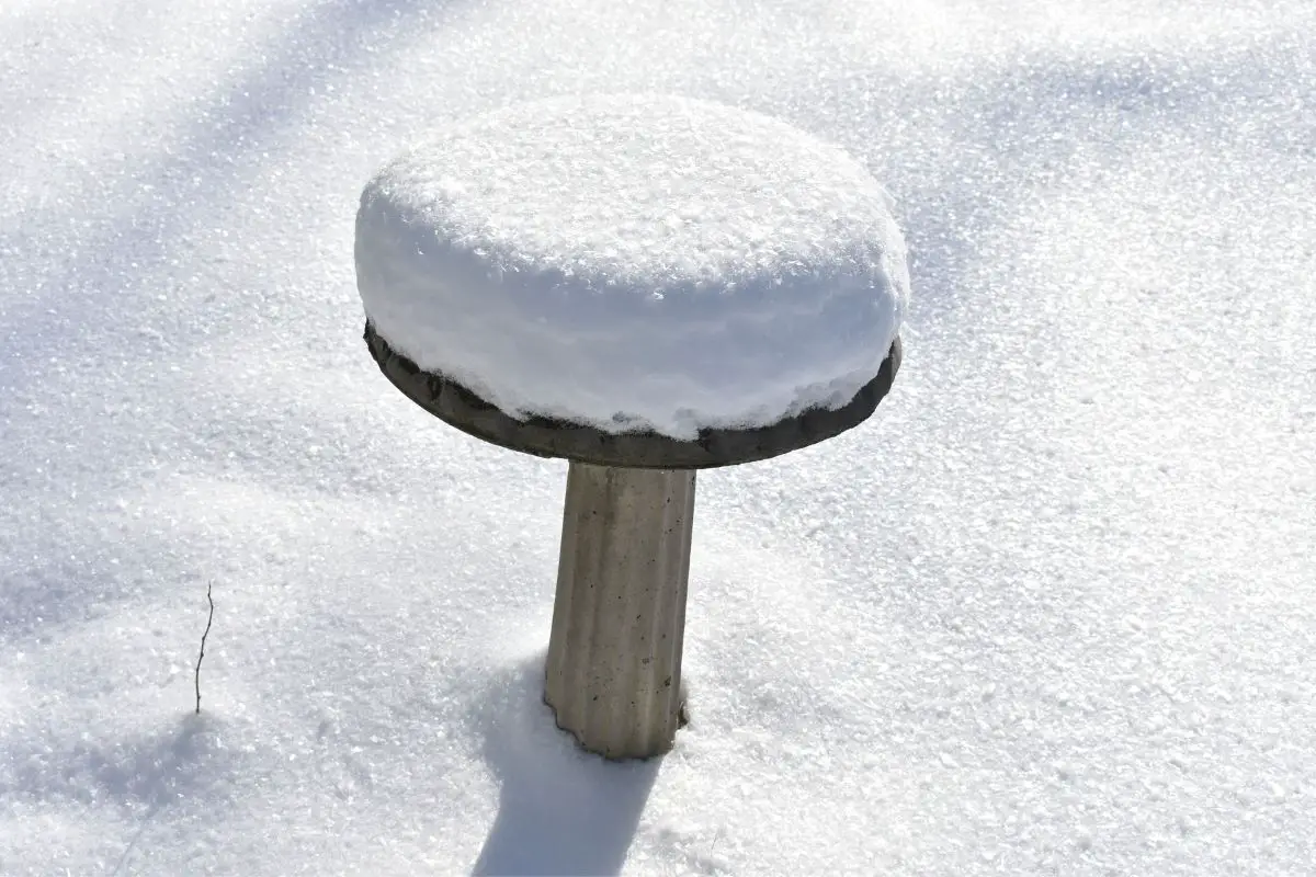 a birdbath covered in snow