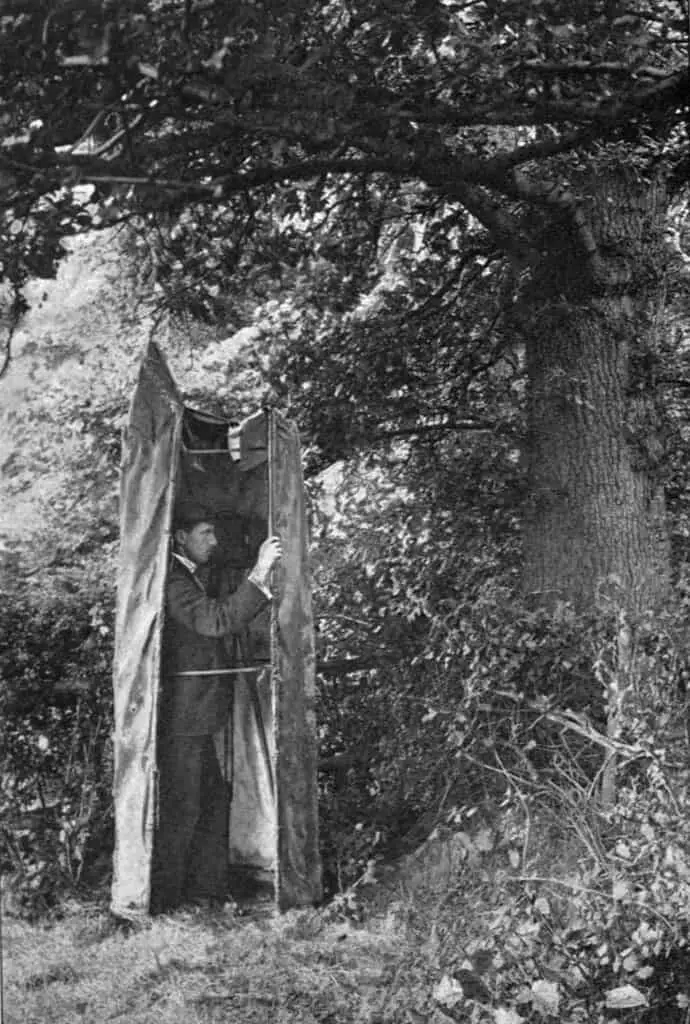 Cherry Kearton using an artificial tree trunk bird hide