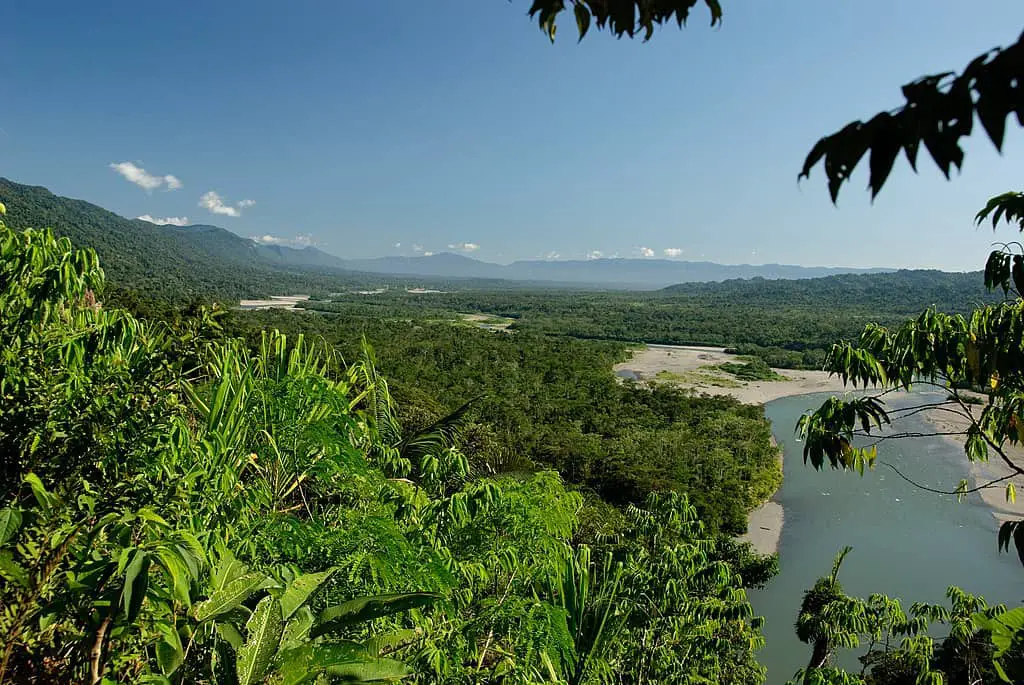 a view of Manu National Park in Peru