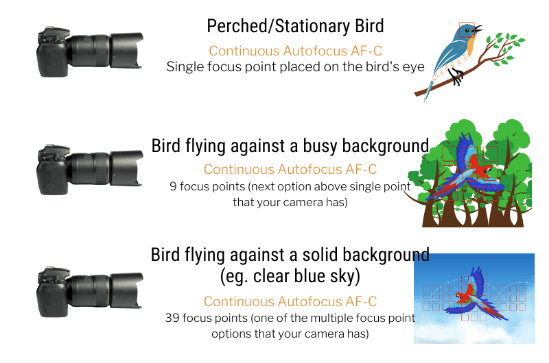 an info graphic explaining three types of focusing techniques for bird photography