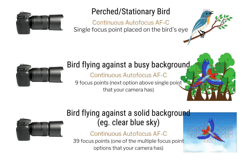 an info graphic explaining three types of focusing techniques for bird photography