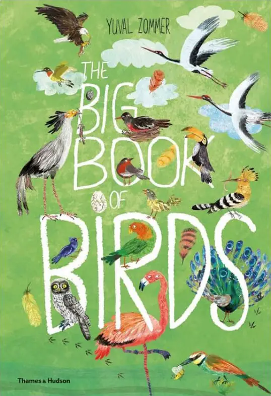 the front cover of The Big Book Of Birds