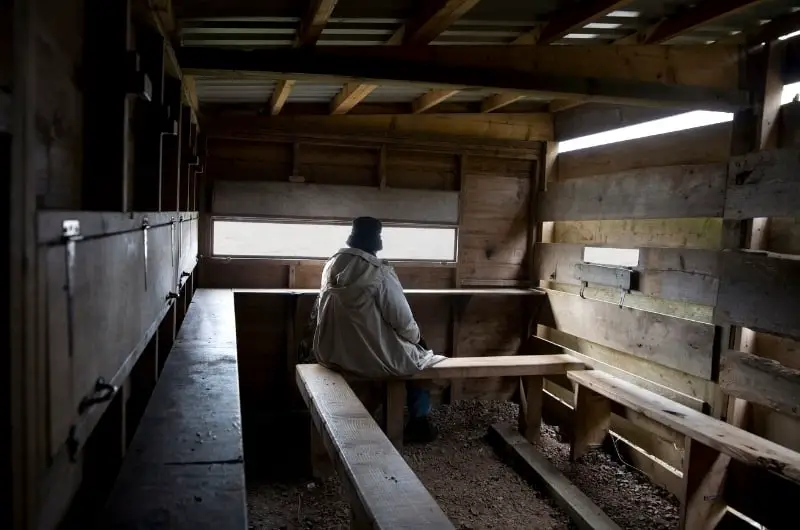 a person sitting inside a wooden bird hide