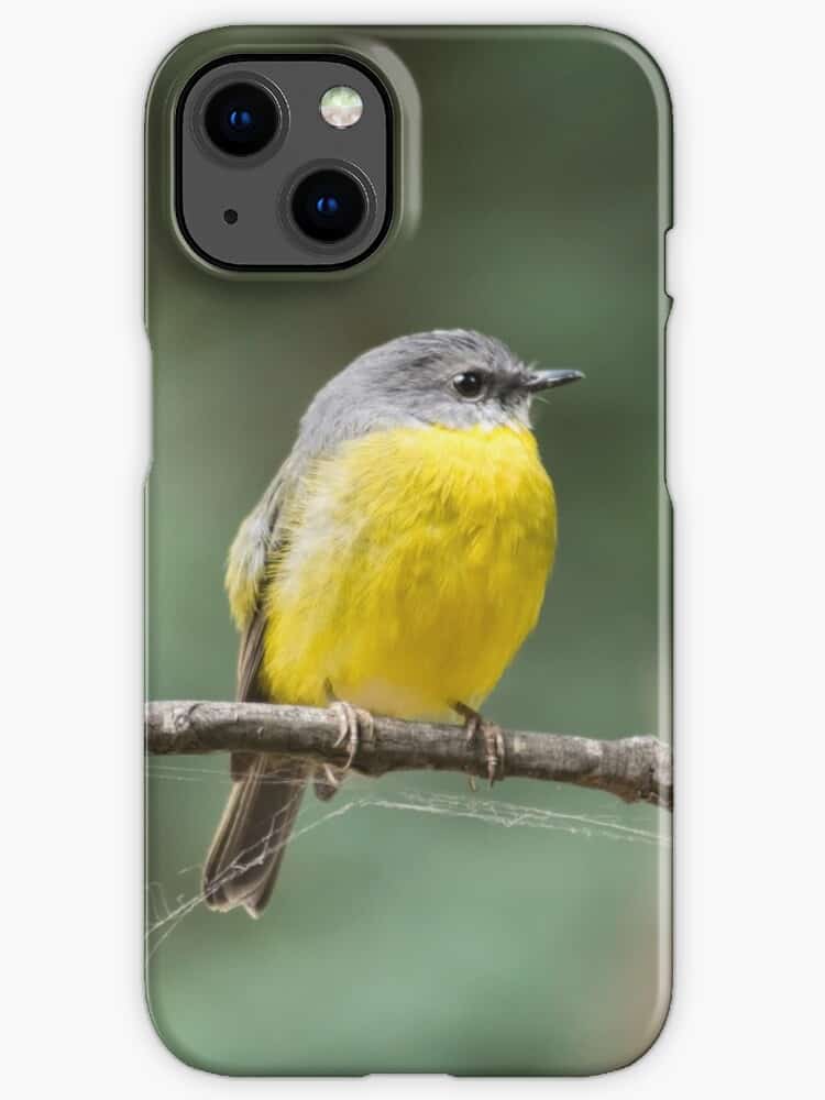 an iphone 13 case with an Eastern Yellow Robin bird on it