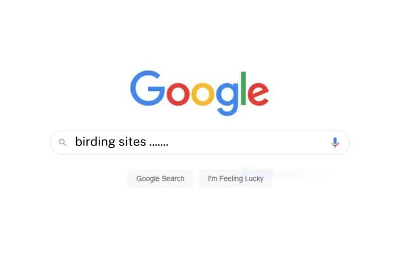 a graphic of the Google search box with birding sites... typed into it