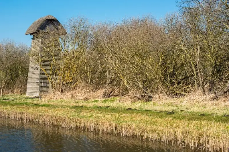 a tower bird hide in trees by the edge of a lake in a bird watching area