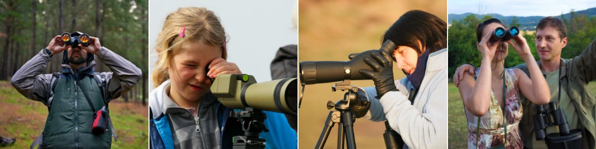 four different images of people bird watching