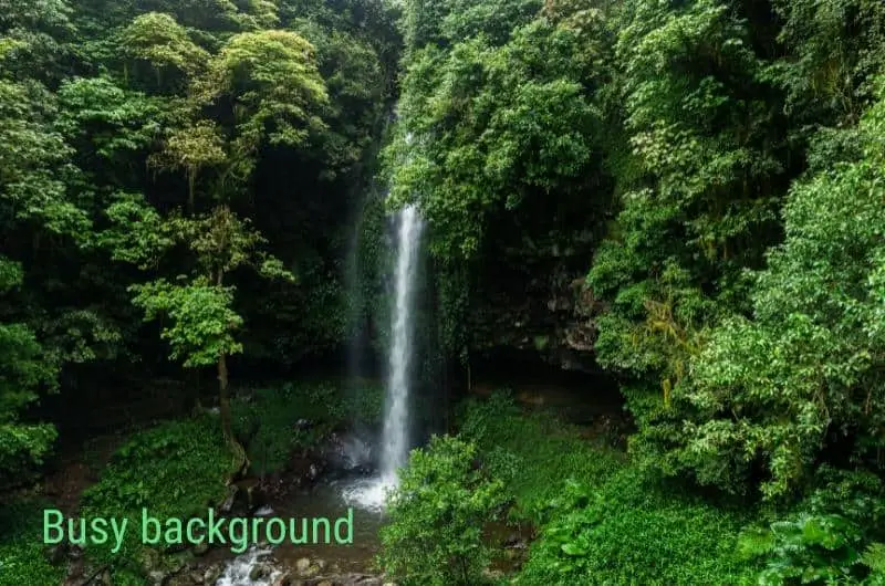a view of Crystal Falls in Dorrigo with the text 'busy background' on it