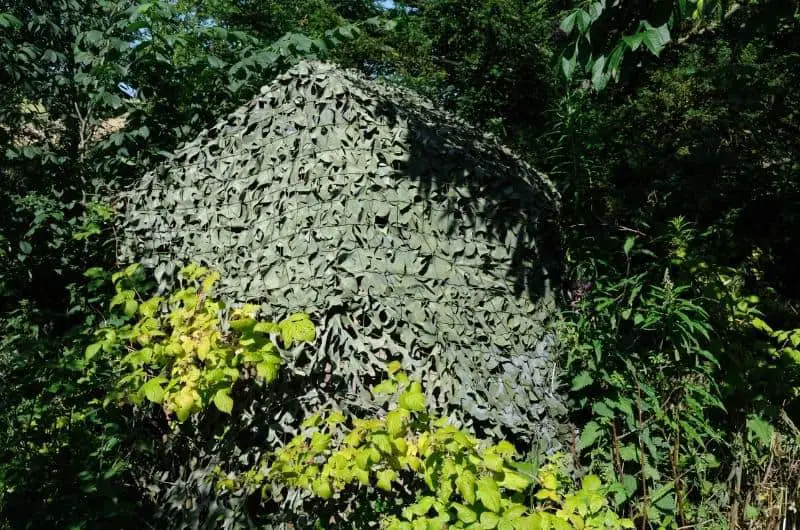 a camouflage net in bushes makes a good bird blind