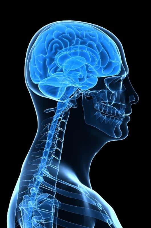 a graphic showing an x-ray image of the brain and spine of a man