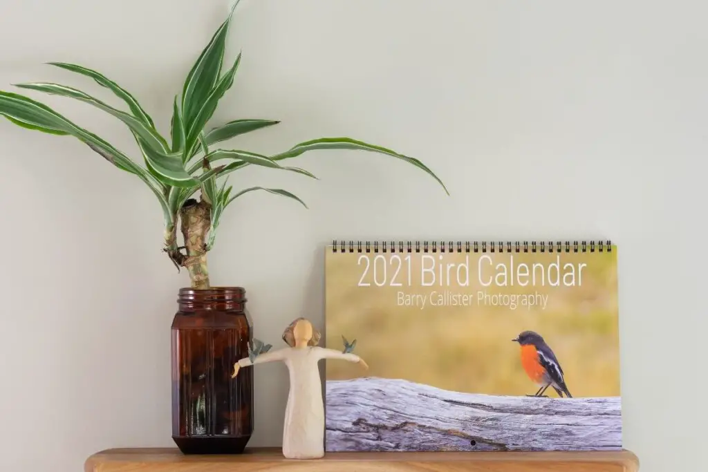 a Barry Callister Photography 2021 Bird Calendar on a wooden shelf with a plant and a figurine of a woman with birds on her arms
