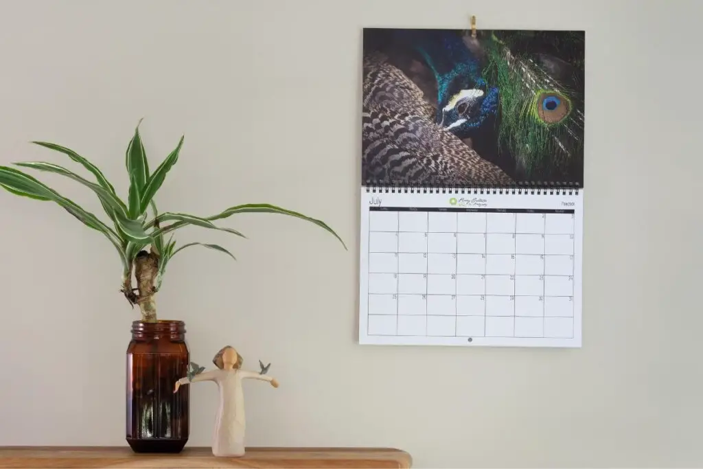 the July page of Barry Callister Photography's 2021 Bird Calendar with a plant and a figurine to the lower left