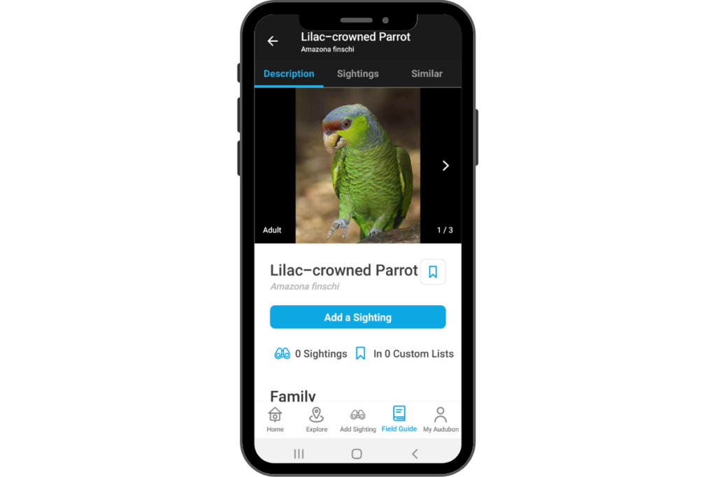 a smart phone with the Audubon Bird app Lilac-crowned Parrot infomation page showing on the screen