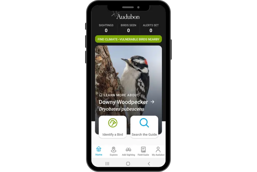 a smart phone with the Audubon Bird app home page showing on the screen