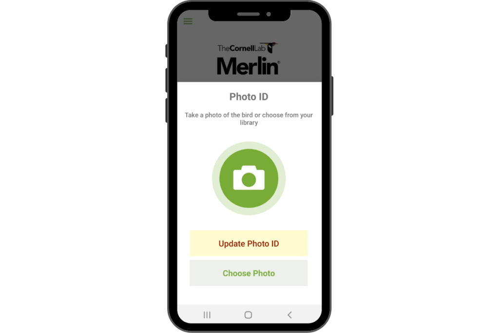 a smart phone with the Photo ID page of the Merlin Bird ID app showing