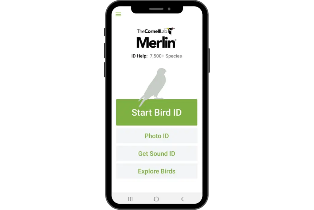 a smart phone with the home page of Merlin Bird ID app showing