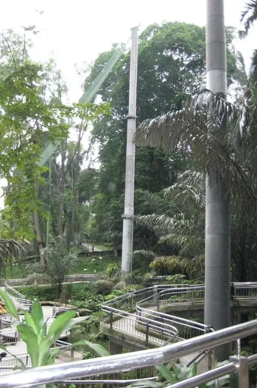 the free-flight aviary in the Kuala Lumpur Bird Park