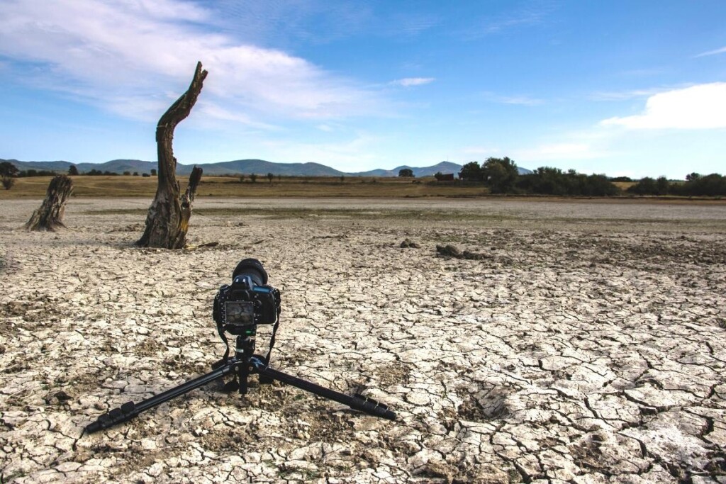 a camera on a tripod standing on dry, cracked ground with two tree stumps nearby
