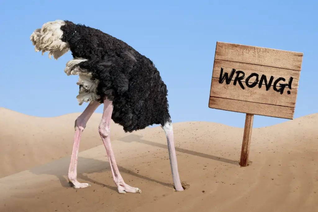 an Ostrich with it's head in the sand and a sign with the word Wrong! on it