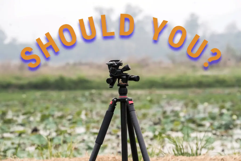 should-you-use-a-tripod-for-bird-photography-answer-and-tips